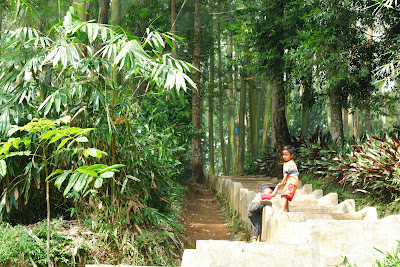DSCF4795.JPG