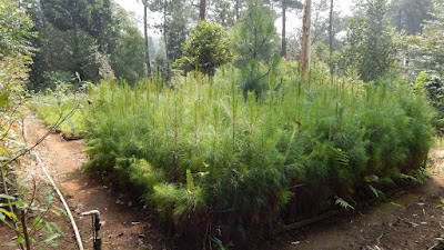 DSCN8122.JPG