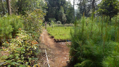 DSCN8110.JPG