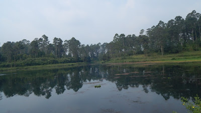 DSCN8246.JPG