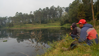 DSCN8245.JPG