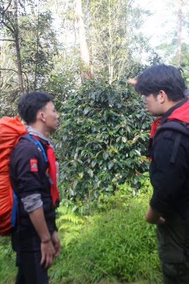 _MG_2573.JPG