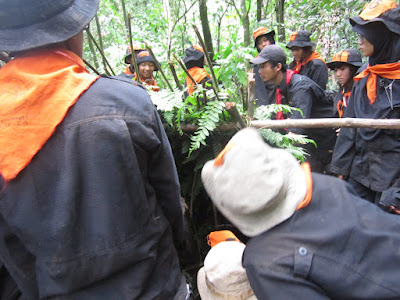 IMG_2536.JPG