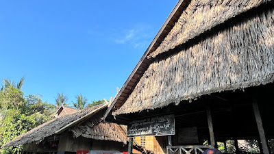 IMG_5053.HEIC