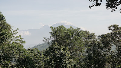 DSC06796.JPG