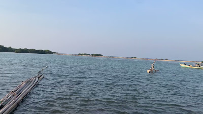 IMG_3854.MOV