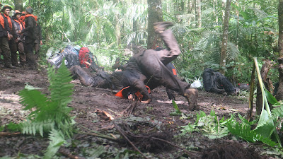 IMG_2570.JPG