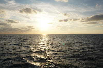 DSC03570.JPG