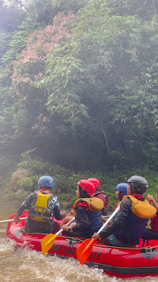 28D2DDCB-2080-4D98-A5D0-B585895F80C0_1_102_o.jpeg