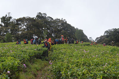 DSC_0318.JPG