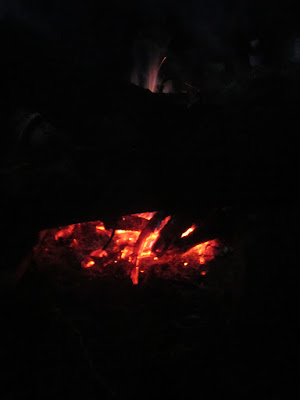 IMG_9874.JPG