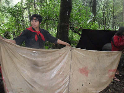 SAM_0023.JPG