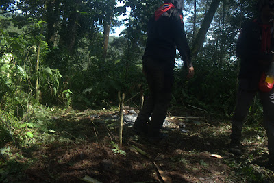DSCF6583.RAF