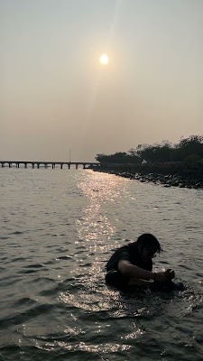 IMG_8017.MOV