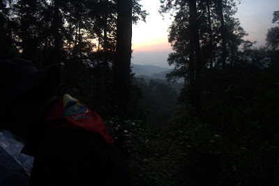 DSCF6576.RAF