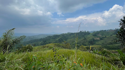 IMG_7348.HEIC