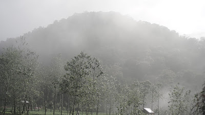 DSC09323.JPG