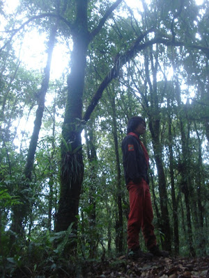 DSC02649.JPG