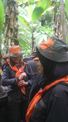 IMG_2806.JPG