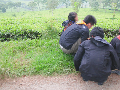 CIMG0774.JPG