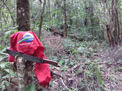 20151031_121544.jpg