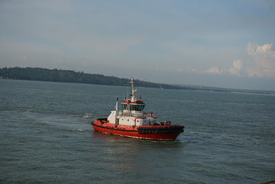 DSC03549.JPG