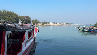 IMG_8146.MOV