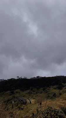 MVIMG_20250723_114644.jpg