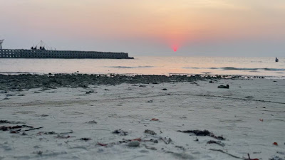 IMG_8338.MOV