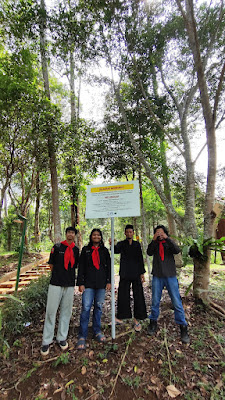 Copy of IMG_20241117_125754.jpg