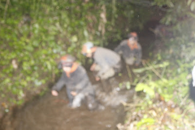 _MG_4237.JPG