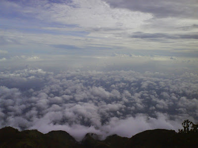 DSC01623.JPG