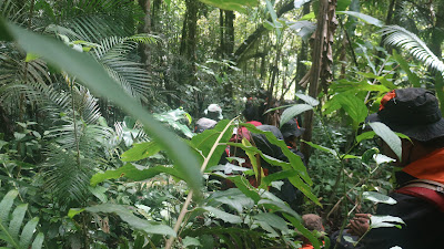 IMG_2582.JPG
