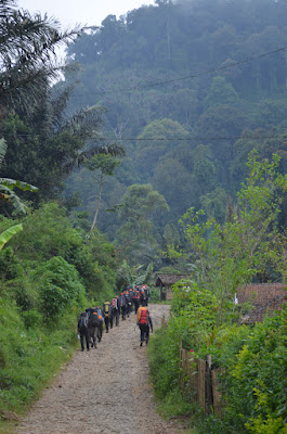 DSC_1219.JPG