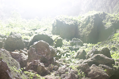 _MG_9361.JPG
