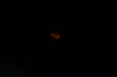 DSC_5863.JPG