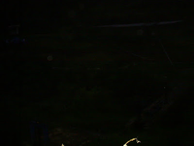 Survey PDA XIV Gunung Hutan dan SAR - 156.JPG