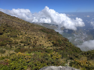 RA_20250723_105438_lmc_8.4.jpg