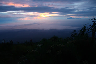 IMG_2613.JPG