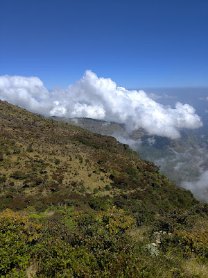 RA_20250723_105446_lmc_8.4.jpg