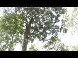 GOPR9747.THM