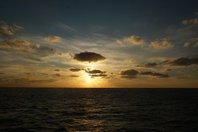 DSC03594.JPG
