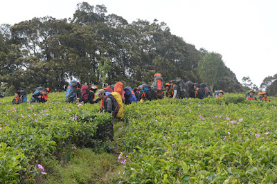 DSC_0321.JPG