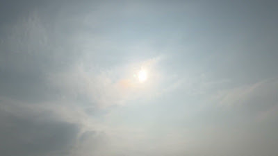IMG_7883.MOV