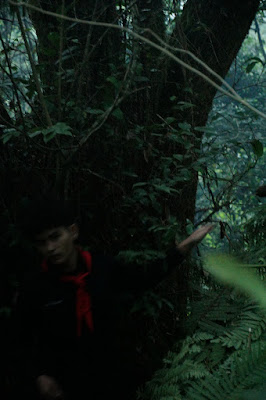 LDK00501.JPG