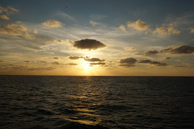 DSC03592.JPG