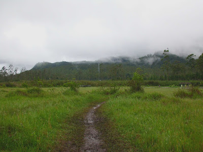 CIMG0842.JPG