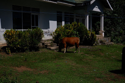 DSCF2124.JPG