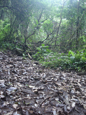 DSC05079.JPG