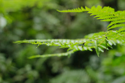 _MG_5578.JPG